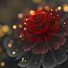 safa binty Islam 