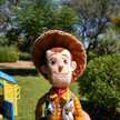 Luis Fe