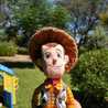 Luis Fe