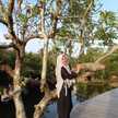 Melia Citra