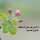 Wisam Basel Wisam Basel