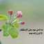 Wisam Basel