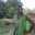 Sapna Singh