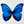 veki_butterfly veki_butterfly