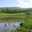 M Bagheri