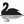 BlackSwan