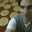 David Garmendia jw