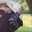 Karen Meyn Theiss