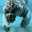 xhander celestun xhander celestun