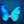 Sweet Butterfly