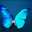 Sweet Butterfly