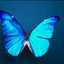 Sweet Butterfly