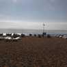 SandSandy's SandSandy's