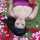 Berenice Berenice