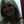guida
