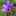 Sarita_13 Sarita_13
