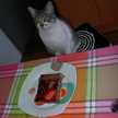 Amandaam