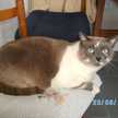 lacocina